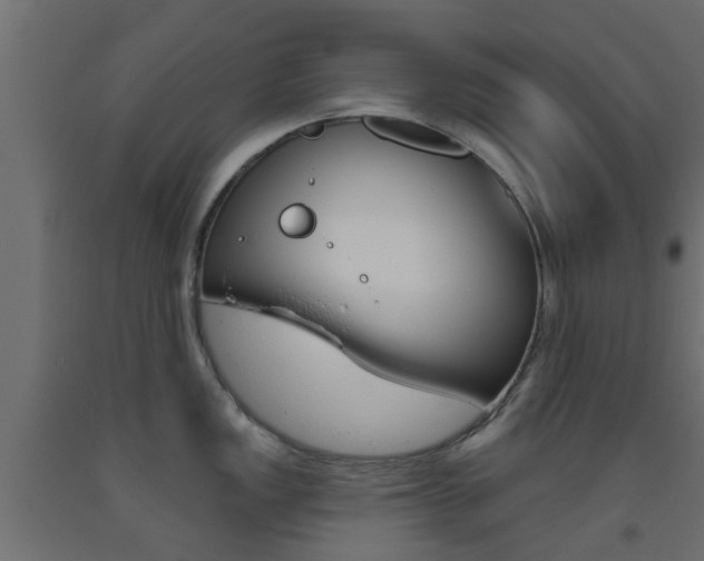 X0000093451149200710121000