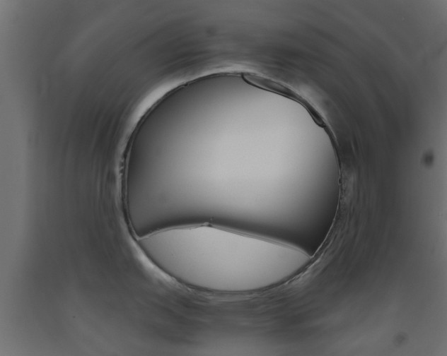 X0000093451151200710121000