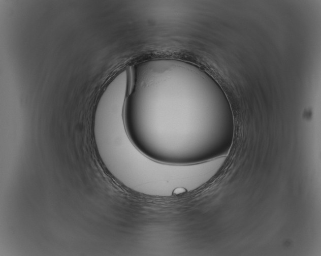 X0000093451153200710121000