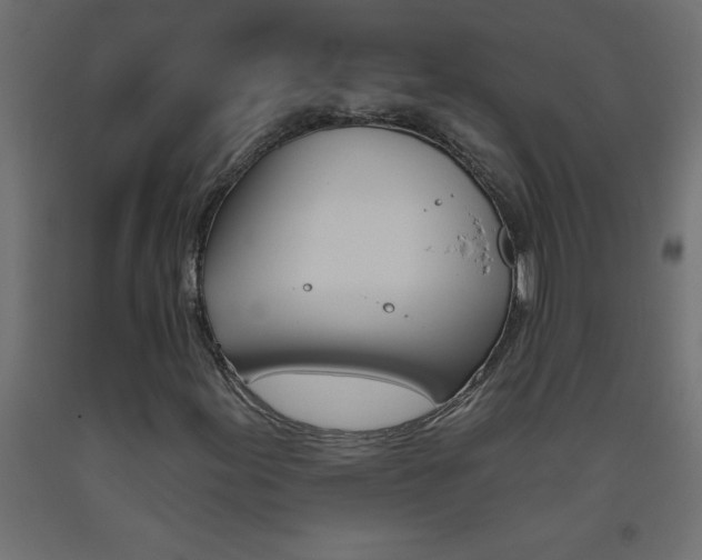 X0000093451155200710121000