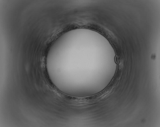 X0000093451156200710121000