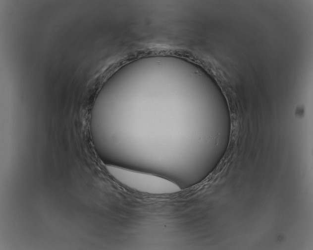 X0000093451157200710121000
