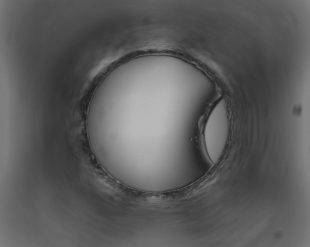 X0000093451160200710121000