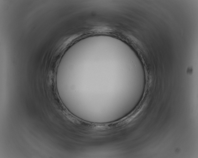 X0000093451161200710121000