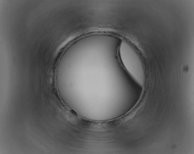 X0000093451165200710120959