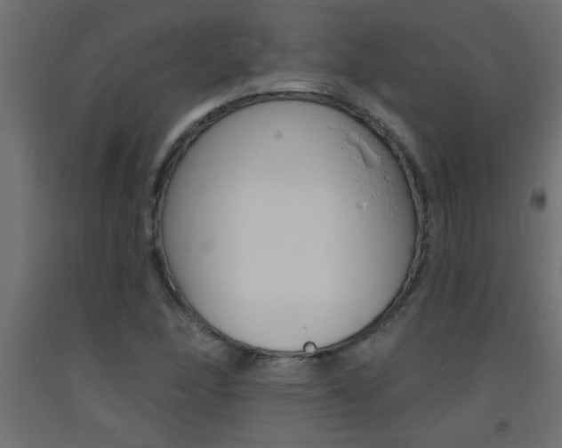 X0000093451166200710120959
