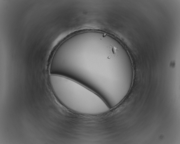 X0000093451168200710120959