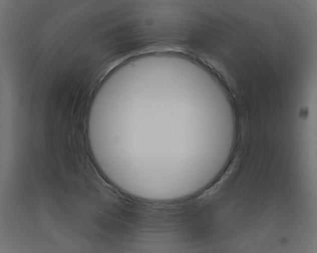 X0000093451169200710120959
