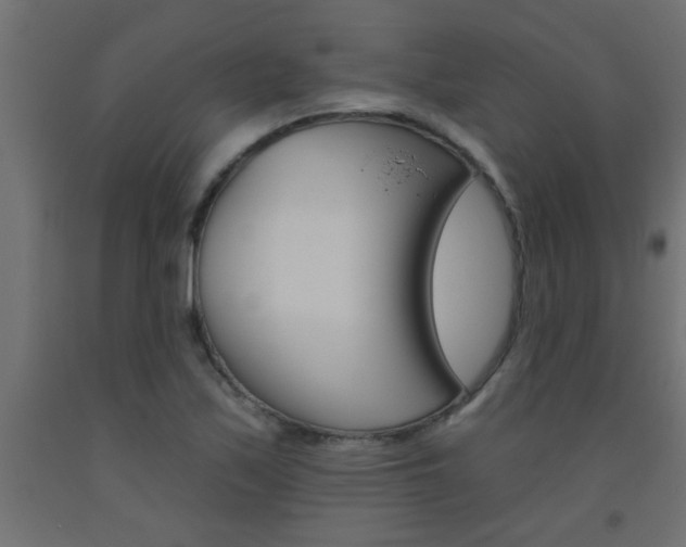 X0000093451171200710120959