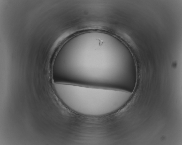 X0000093451172200710120959