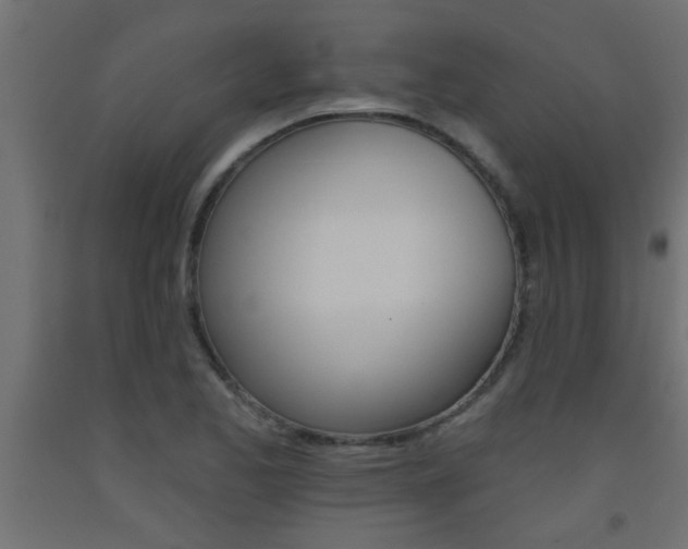 X0000093451173200710120959