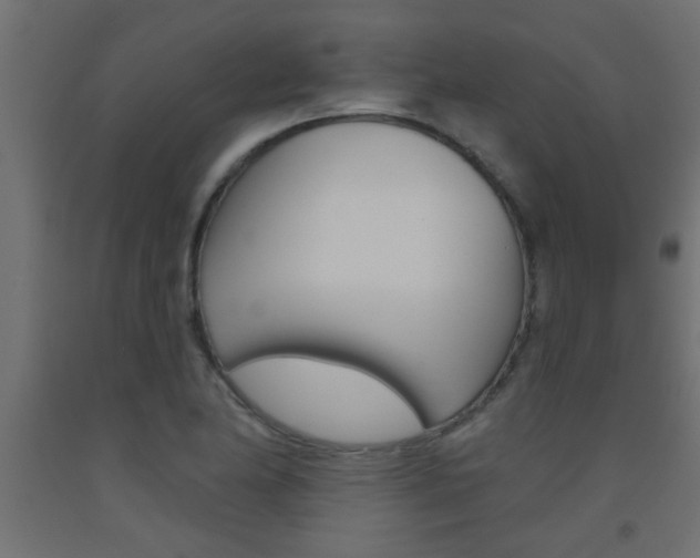 X0000093451174200710120959