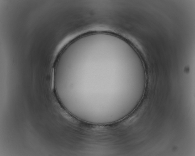 X0000093451175200710120959