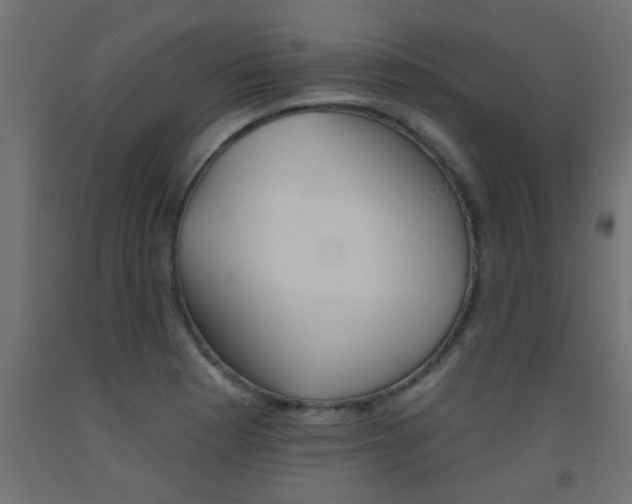 X0000093451177200710120959