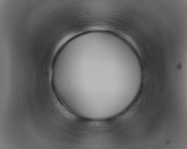 X0000093451179200710120959