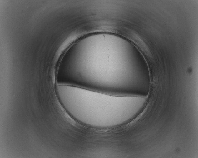 X0000093451180200710120959
