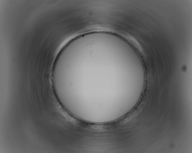 X0000093451182200710120959