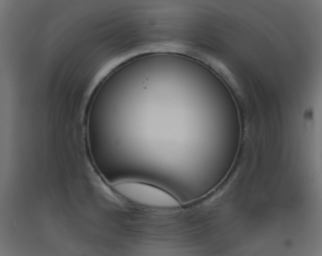 X0000093451184200710120959