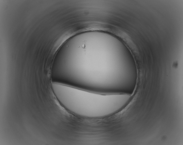 X0000093451185200710120959
