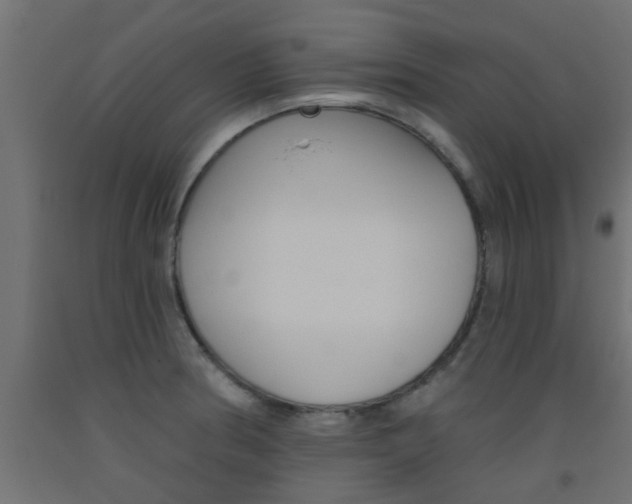 X0000093451186200710120959