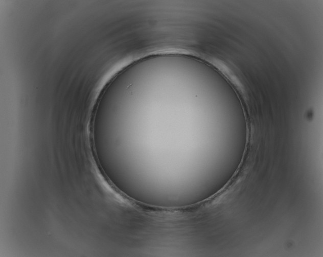 X0000093451189200710120959