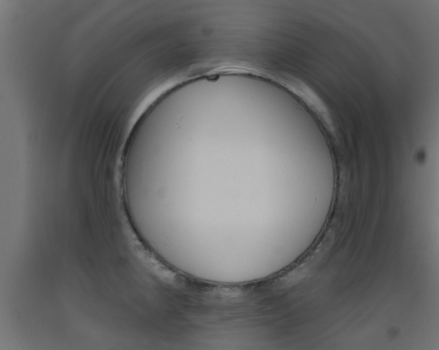X0000093451190200710120959