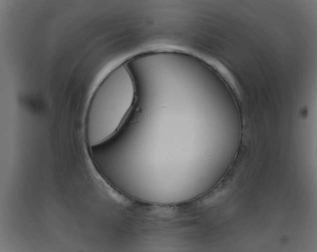 X0000093451191200710120959