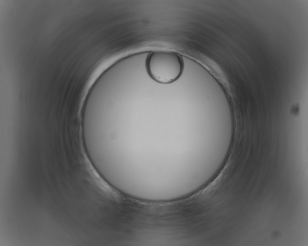 X0000093451192200710120959