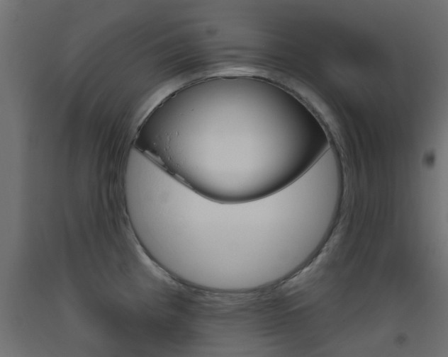 X0000093451193200710120959