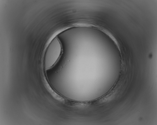 X0000093451195200710120959