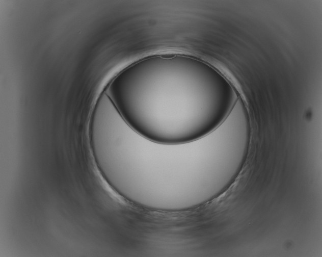X0000093451197200710120959