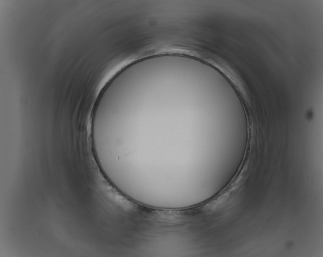 X0000093451198200710120959