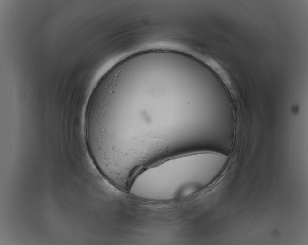 X0000093451199200710120959