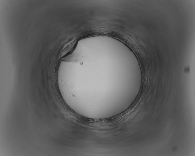 X0000093451201200710120958