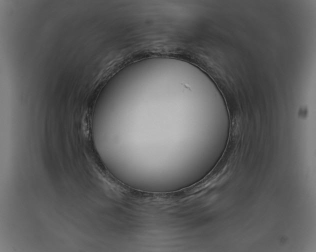 X0000093451202200710120958