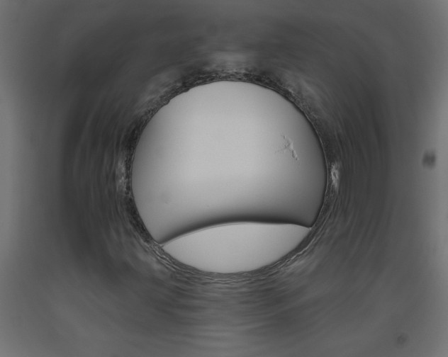 X0000093451203200710120958