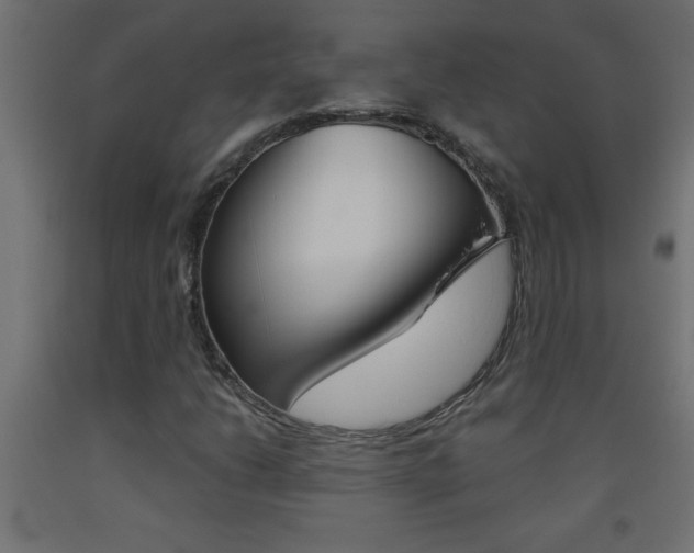 X0000093451206200710120959