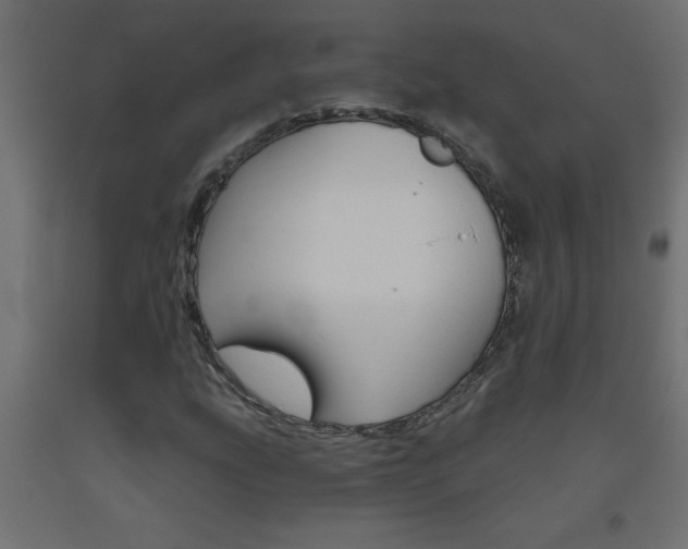 X0000093451207200710120959