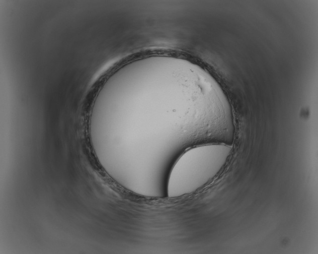 X0000093451208200710120959