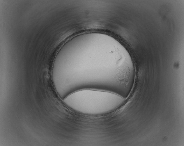 X0000093451209200710120959