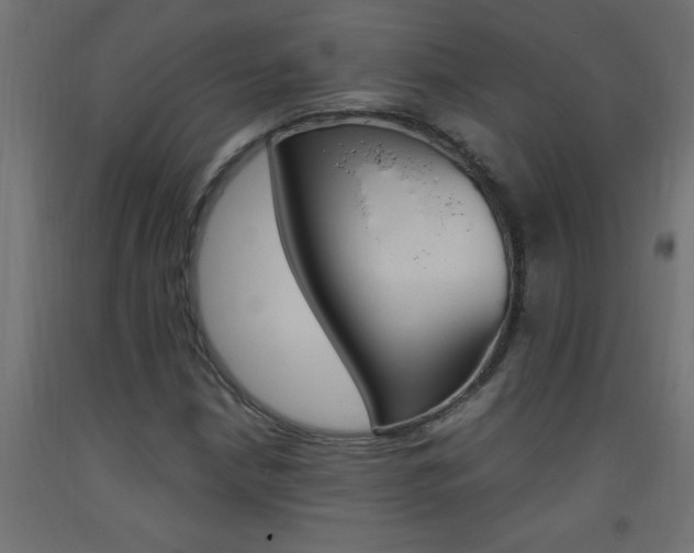 X0000093451210200710120959