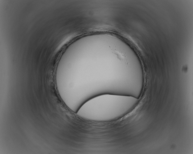 X0000093451211200710120959