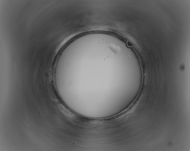 X0000093451212200710120959