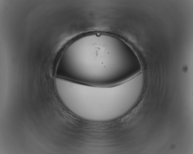 X0000093451214200710120959