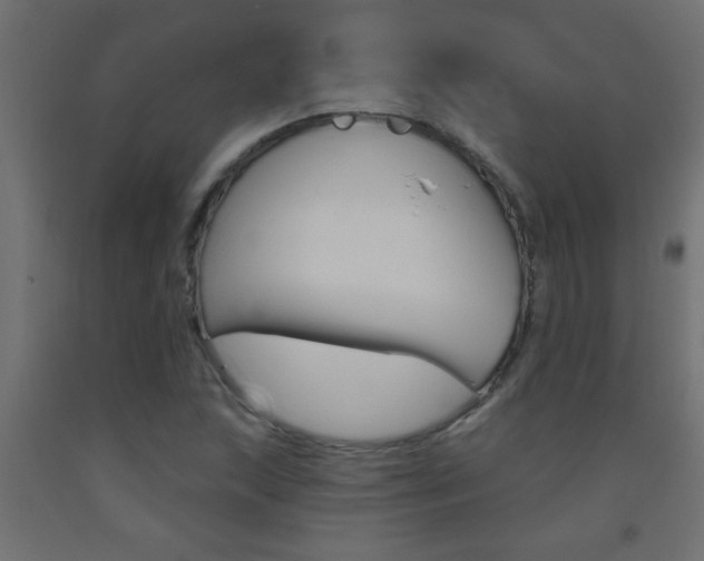 X0000093451215200710120959