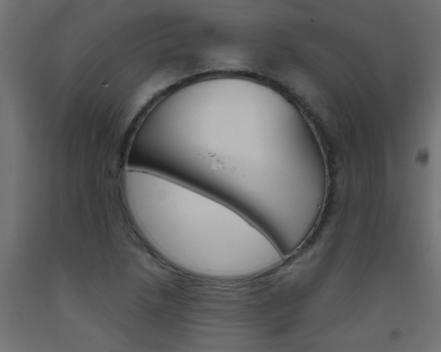 X0000093451218200710120959