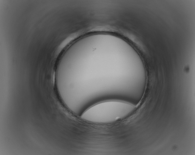 X0000093451221200710120959