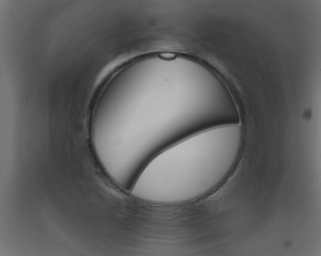 X0000093451222200710120959
