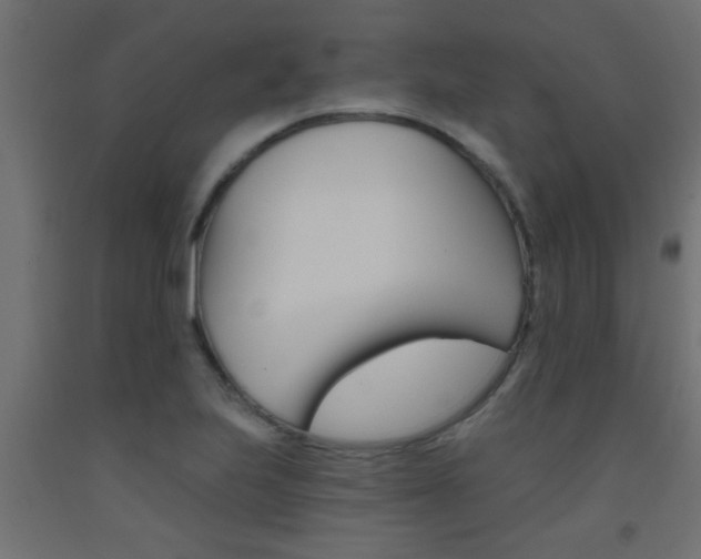 X0000093451223200710120959
