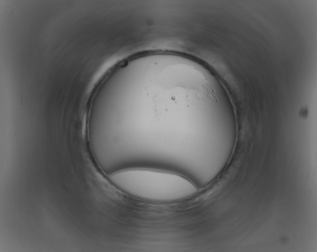 X0000093451224200710120959